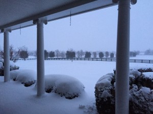 Beautiful Kentucky Snow from Carolyn McDonald, REALTOR