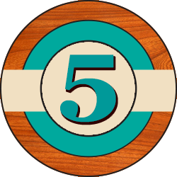 5_year_badge