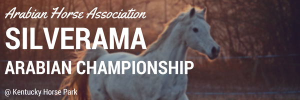 Silverama Arabian Championship